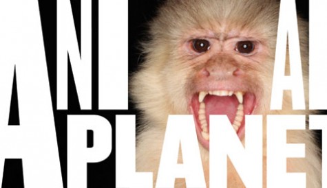 Animal Planet gets wild with new look