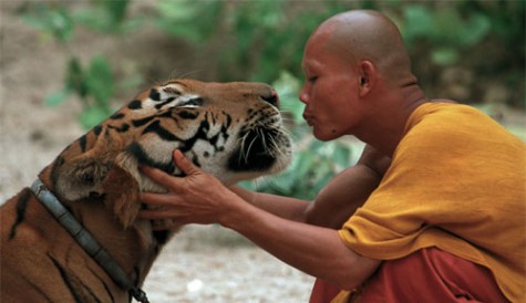 Paws & Claws! Wildlife programming