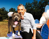 Nat Geo Wild commissions Cesar Millan's Leader of the Pack