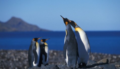Sky orders David Attenborough-fronted 3D film Penguin Island