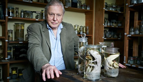UKTV orders more of David Attenborough’s Curiosities
