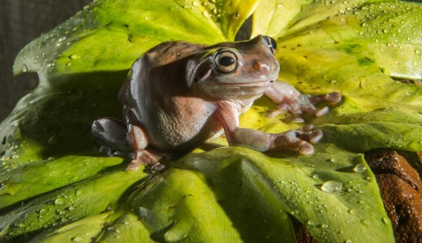 Monster Frog attracts Austria’s ORF