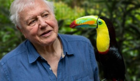 Netflix, BBC team up with David Attenborough on 'Life In Colour'