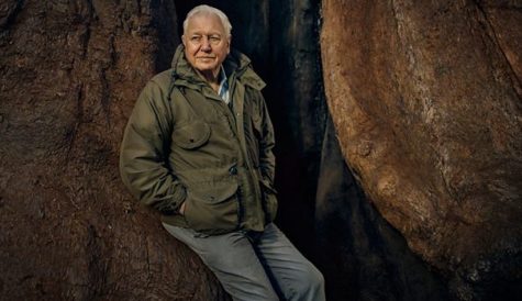 Attenborough to front BBC, PBS series about secret lives of plants