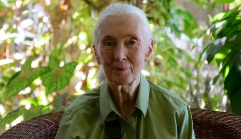 News round-up: APC's Jane Goodall doc goes global; 'Harry Potter' producer adapts 'Treachery Of Spies'; RTS goes online