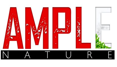Ample launches LA’s first-ever dedicated natural history label
