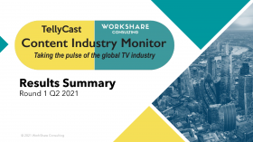 Content Industry Monitor - Partner Report