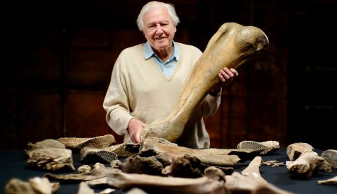 BBC unveils Attenborough's Mammoth special & Asia wildlife series