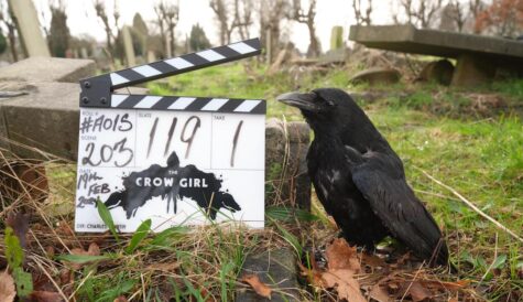 Paramount+ links with Buccaneer to adapt crime thriller 'The Crow Girl'